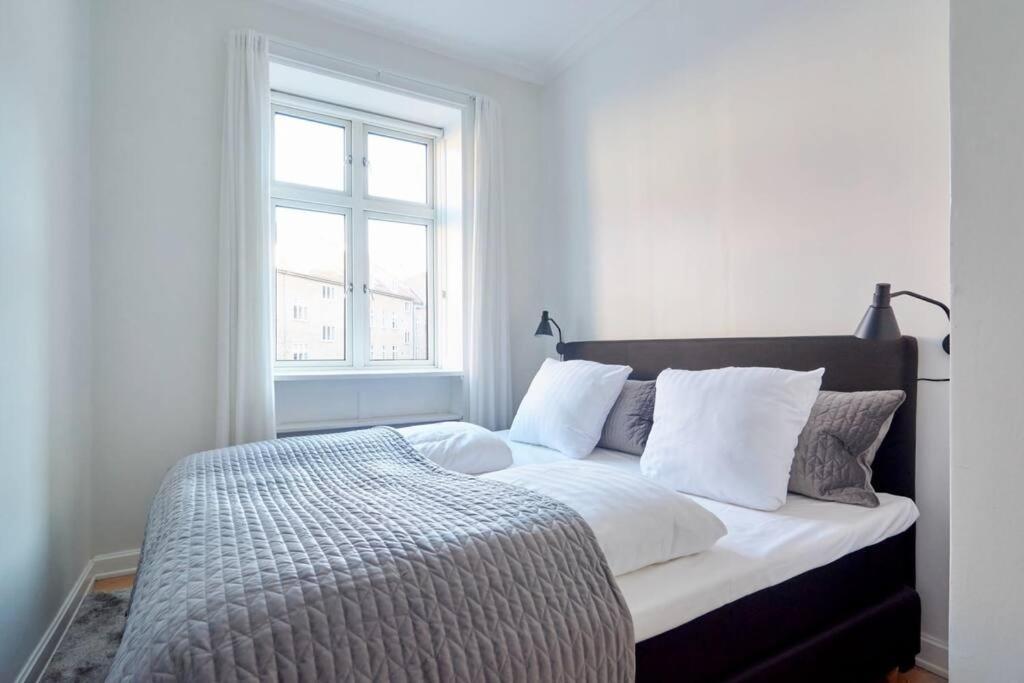 Large & Stylish In Trendy & Vibrant Neighbourhood *